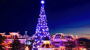Magical Christmas Tree Lighting​